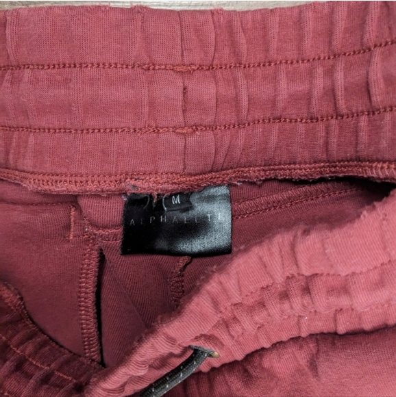 Alphalete Joggers - Picture 5 of 6